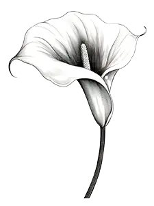 Illustration florale de l'atelier création parfum d'Empreinte Éthérée