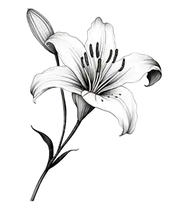 Illustration florale de l'atelier de haute parfumerie d'Empreinte Éthérée